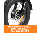 48V 750W Bafang Motor 3 Wheel Electric Tricycle 7 Speeds Shimano Fat Tyre Kenda