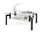 Giantex 2-Tier Tempered Glass Coffee Table Metal Frame Modern Center Table w/Frosted Glass Shelf