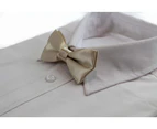 Boys Champagne Plain Bow Tie Polyester