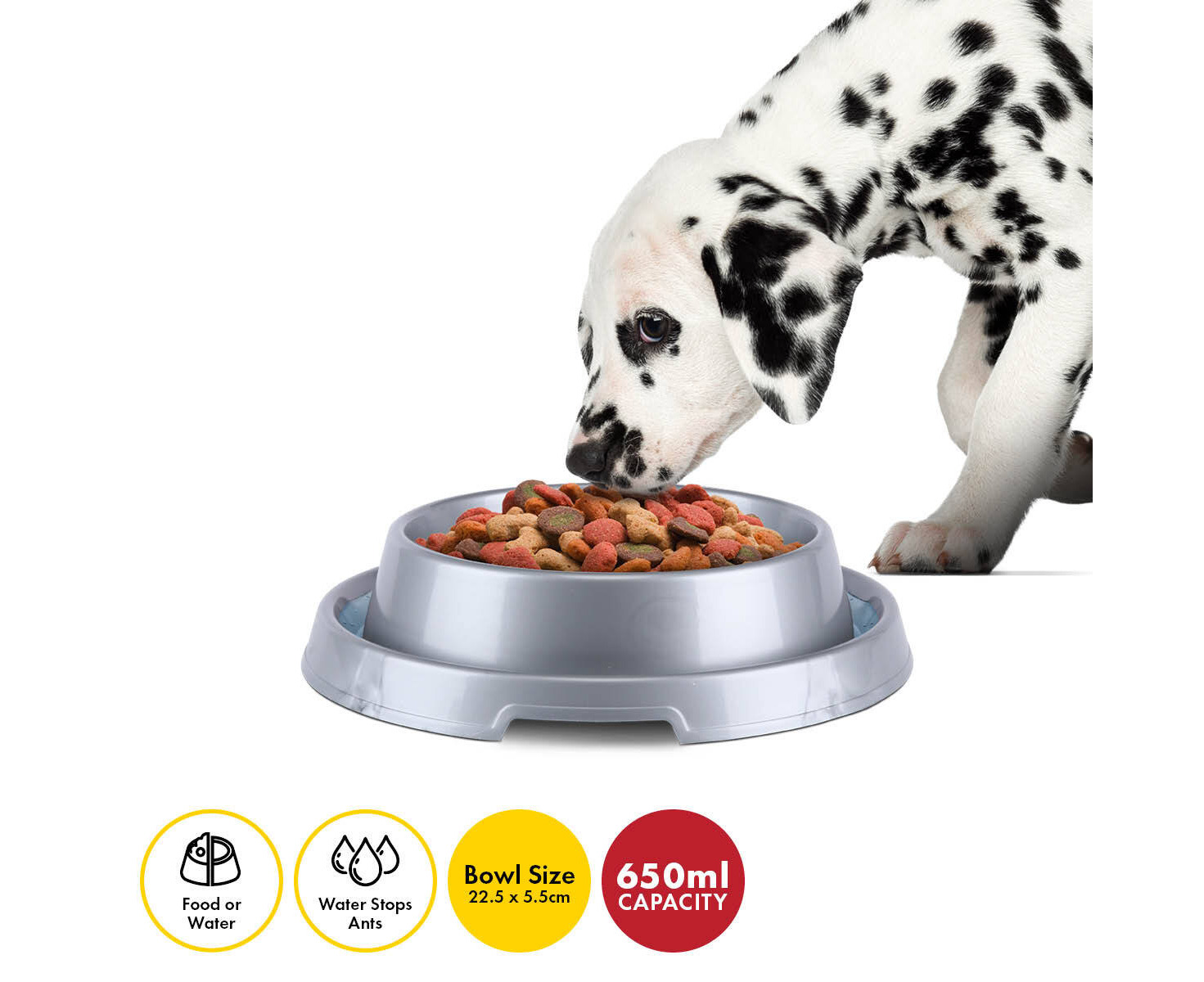 Ant proof best sale dog bowl australia