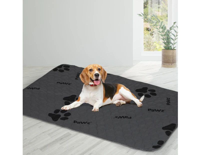 Pawz 4x Washable Dog Puppy Training Pad Pee Puppy Reusable Cushion XXL