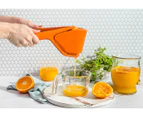 Dreamfarm 28cm Fluicer Fold Flat Easy Juicer - Orange
