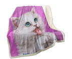 Throws Couples Size: 200cm x 200cm Funny Cats Hungry White Kitty Cat over Pink