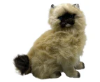 Bocchetta Plush Toys "Toffee" Himalaya Cat Stuffed Animal Medium Sitting 34cm