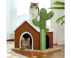 Modern Cat House With Cactus Scratcher