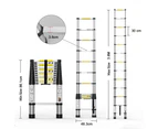 3.8m Telescopic Ladder Steps