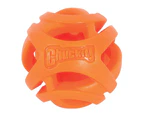 ChuckIt! Large Single Breathe Right Fetch Dog & Puppy Ball Toy for Large Breeds (Chuck It)