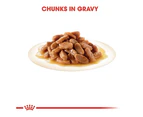 Royal Canin Kitten Gravy Wet Kitten Food 12 x 85g