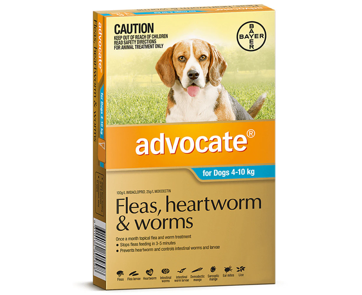 Advocate Medium Dog 4-10kg Teal Spot On Flea Wormer Treatment 1 Pack