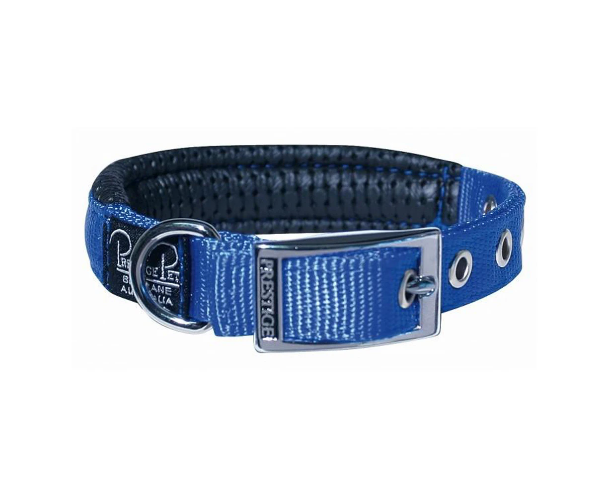 Blue Nylon Dog & Puppy Collar - 19mm x 36cm (Prestige Pet Collar)