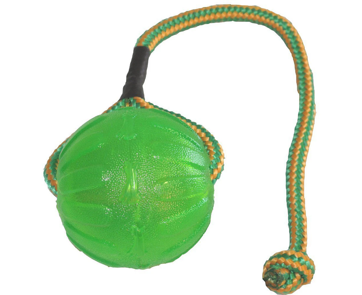 Dog Swing & Fling Chew Ball Dog Toy - Medium/Large (Starmark)