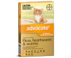 Advocate Cat & Kitten 0-4kg Orange Spot On Flea Wormer Treatment 1 Pack