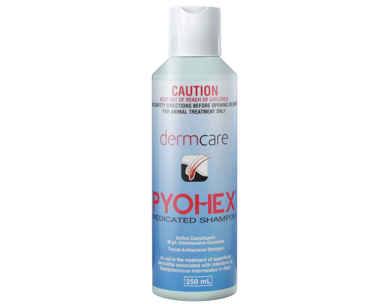 Dermcare Pyohex Shampoo for Dogs (250ml) Skin Infections & Hot Spots