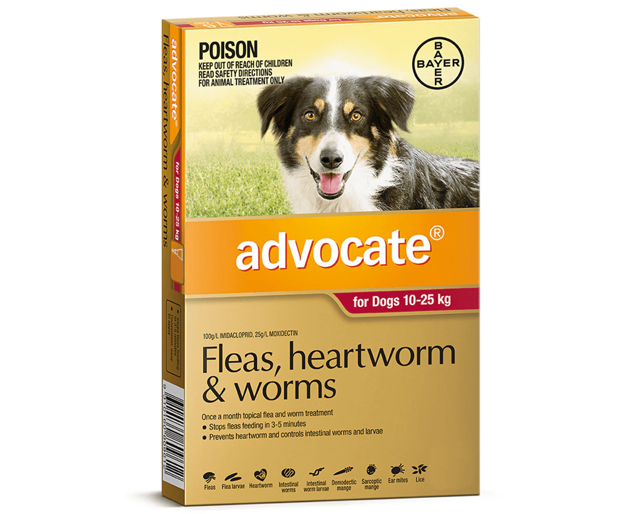 Advocate Large Dog 10-25kg Red Spot On Flea Wormer Treatment 1 Pack