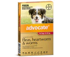 Advocate Large Dog 10-25kg Red Spot On Flea Wormer Treatment 1 Pack