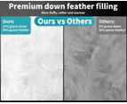Dreamz 500GSM All Season Goose Down Feather Filling Duvet in Single Size