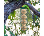 New Outdoor Bird Feeder Feeder Food Dispenser, for Dumpling Fat Balls, for Small Birds, hanging feeder, grid bird feeder -green