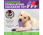 Pet Basic 3PCE Squeaky Icecream Dog Toy Interactive Fun Durable 15.5cm