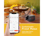 Inkbird BBQ Thermometer IBT-2X Bluetooth Wireless Dual Meat Probes Temp Graph Kitchen Barbecue Smoker Oven Grill APP Monitor Alarm Timer