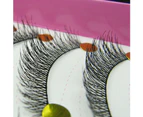 SunnyHouse 10 Pairs Makeup Beauty False Eyelashes Extension Long Thick Cross Eye Lashes-