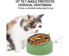 Pet Cat Food Bowl Stainless Tilted Raised Water Food Feeder-Green
