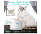 Cat Eating Bowl Food Container Pet Multifunctional Feeding Dish-White