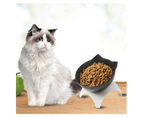 Cat Feeding Bowl With Stand Tilted Platform Pet Feeder Food Container
