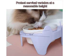 Ceramic Cat Bowls,Double Bowls for Food and Water, Elevated Ceramic Cat Bowls with Plastic Stand-Black bowl + white shelf