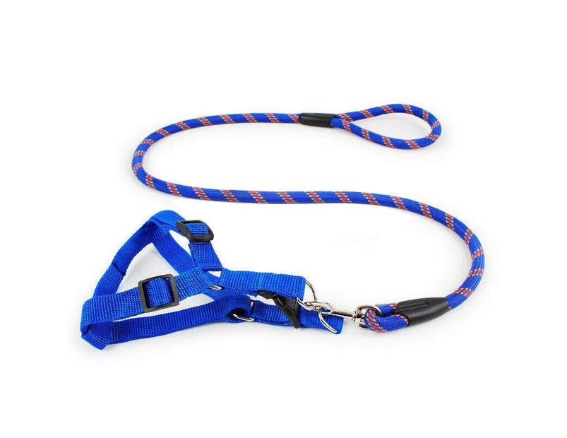 Pet Dog Collar Lead Training Leash Safety Collars S M L Halter Nylon - Blue