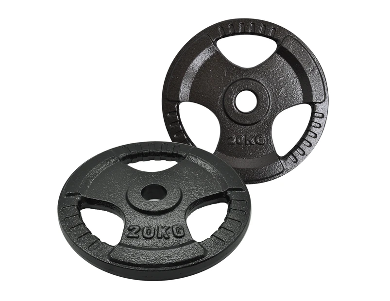 Hammertone olympic weight discount plates