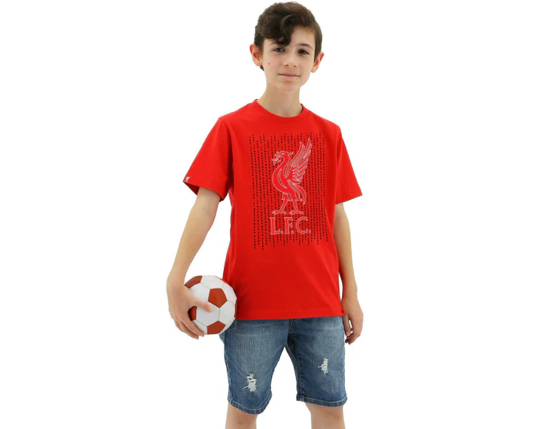 Liverpool FC Youth Boys Liverbird Crew T Shirt Top Tee Soccer LFC - Red