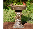 Outdoor Bird Bath Bowl, Resin Pedestal Fountain Decoration for Yard, Garden w/Planter Base, Feeder, Wonderful Outside Decor, Best Choice Gift (Raccoon)