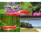 Hummingbird Feeders for Outdoors, 2 Pack, Leak-Proof, Easy to Clean and Fill, Saucer Humming Feeder for Hummer Birds, Including Hanging Hook