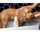 Palmer's Hypoallergenic Skin & Coat Wash For Dogs Fragrance Free 454g