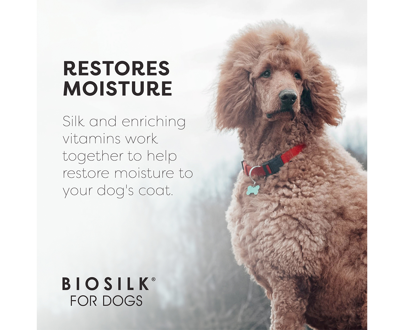 Biosilk for dogs outlet xtreme moisture conditioner