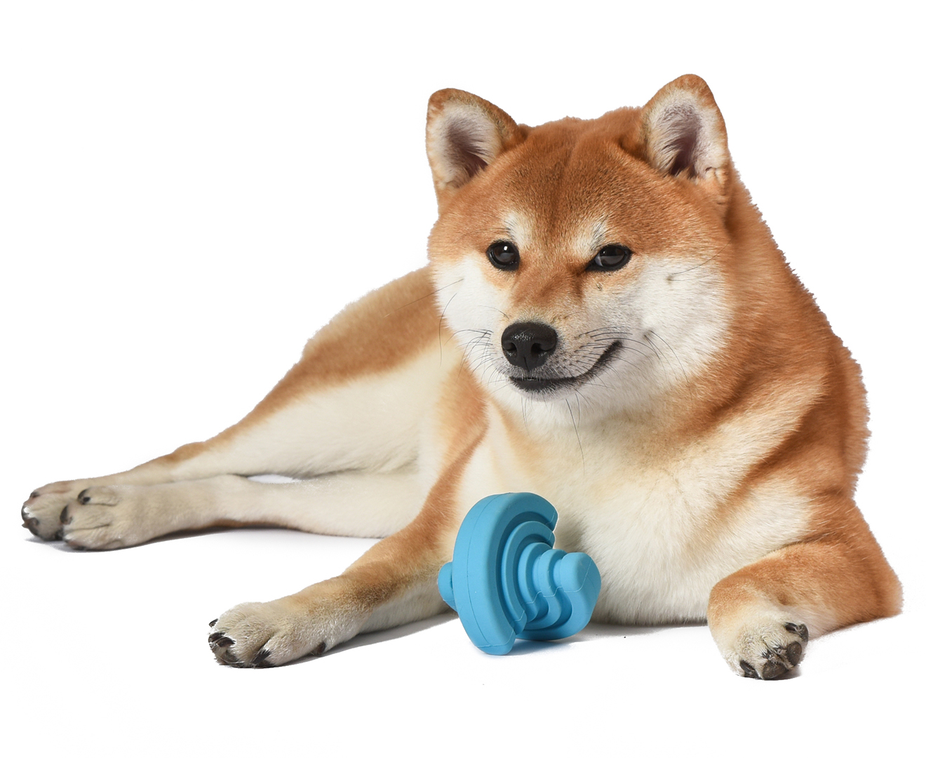 Arm & Hammer Nubbies Duality Bone The Ultimate Dental Dog Toy for Moderate  Chewe