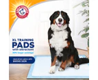 Arm & Hammer XL Dog Training Pads 54pk