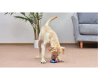 Arm & Hammer Nubbies Orion Dental Dog Toy