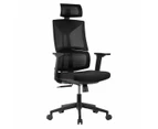 Desky Pro Adjustable High Back Mesh Chair