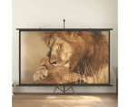 Projection Screen 120"  16:9