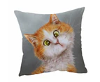 Cushion Cover 45cm x 45cm Double Sided Print Funny Cats Silly Face Ginger Kitten