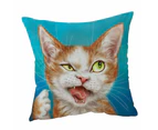 Cushion Cover 45cm x 45cm Double Sided Print Funny Cat Drawings Cool Looking Kitty