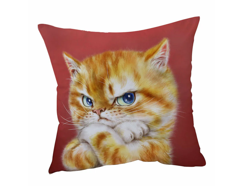 Cushion Cover 45cm x 45cm Double Sided Print Funny Cats Drawings Angry Cute Ginger Kitty