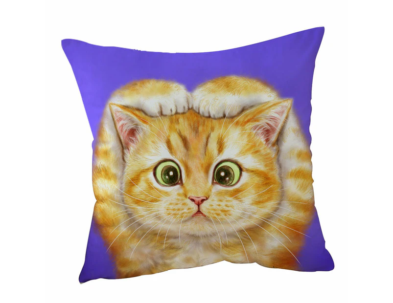Cushion Cover 45cm x 45cm Double Sided Print Funny Cats Drawings Cute Ginger Kitty