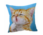 Cushion Cover 45cm x 45cm Double Sided Print Funny Cat Art Paintings Yawning Ginger Kitten