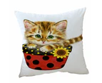 Cushion Cover 45cm x 45cm Double Sided Print Ginger Tabby Kitten in Summer Flower Pot