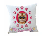 Cushion Cover 45cm x 45cm Double Sided Print Funny Sunglasses Cat Quote and Paws
