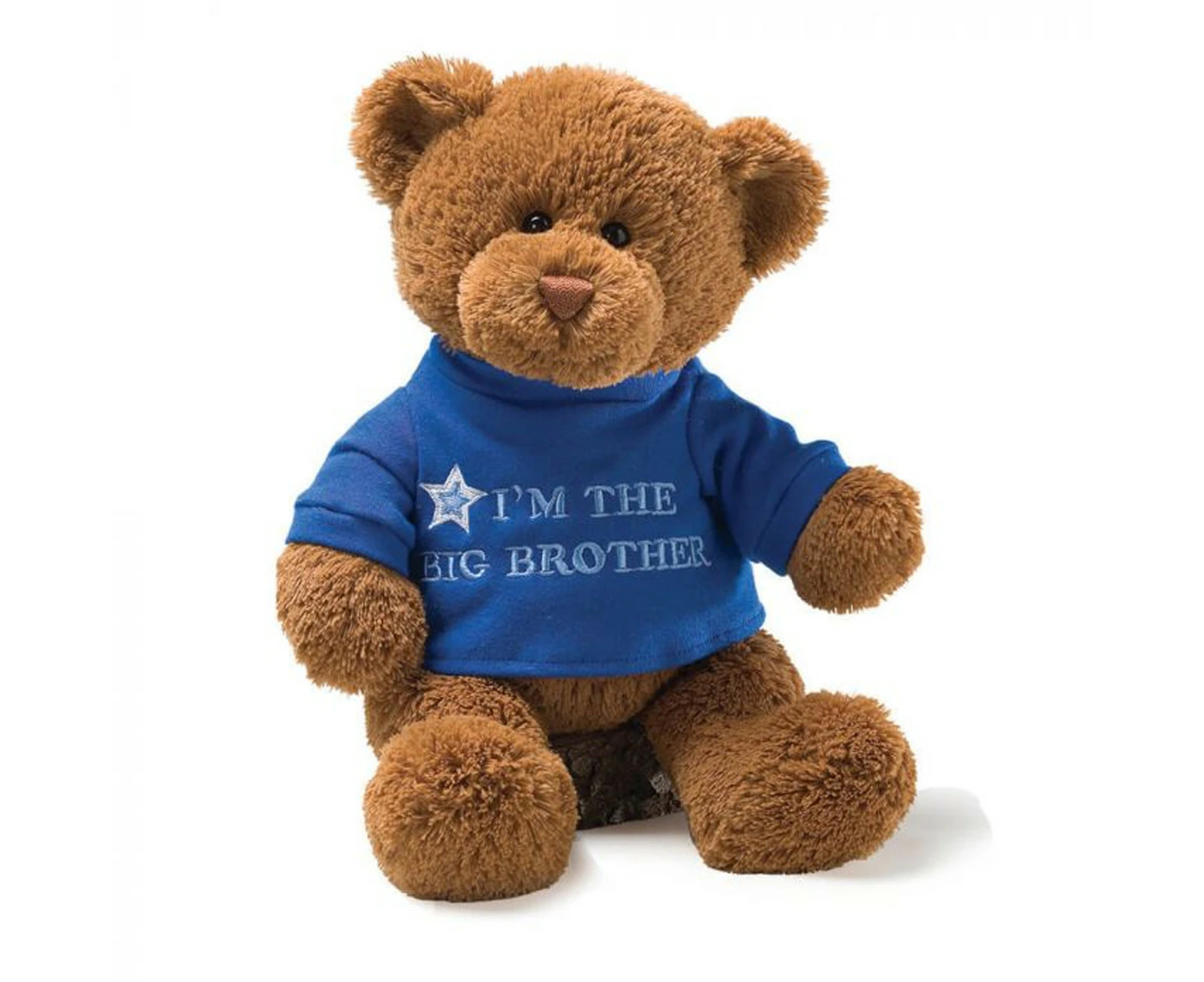 Big Brother Teddy Bear