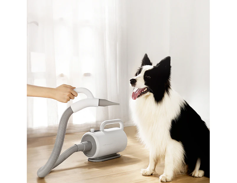 Pet Dog Cat Hair Dryer Grooming Blower Low noise Heat Insulation LCD display Adjustable Temperature Speed 1700w