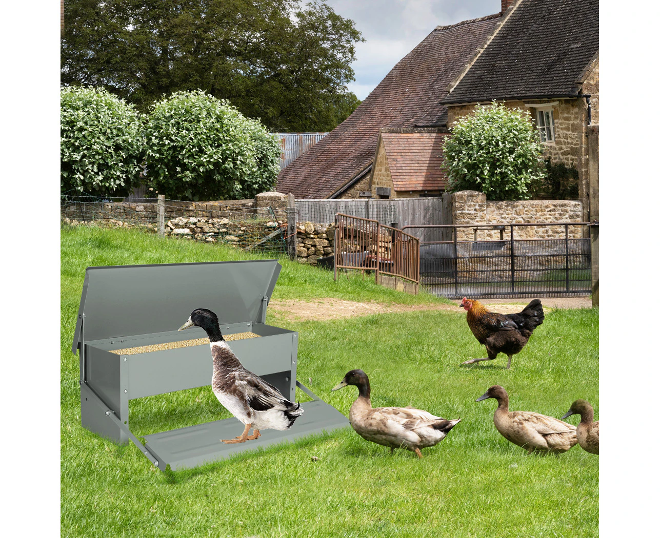 Pawz 10KG Auto Automatic Chicken Feeder Galvanized Poultry Chook Treadle